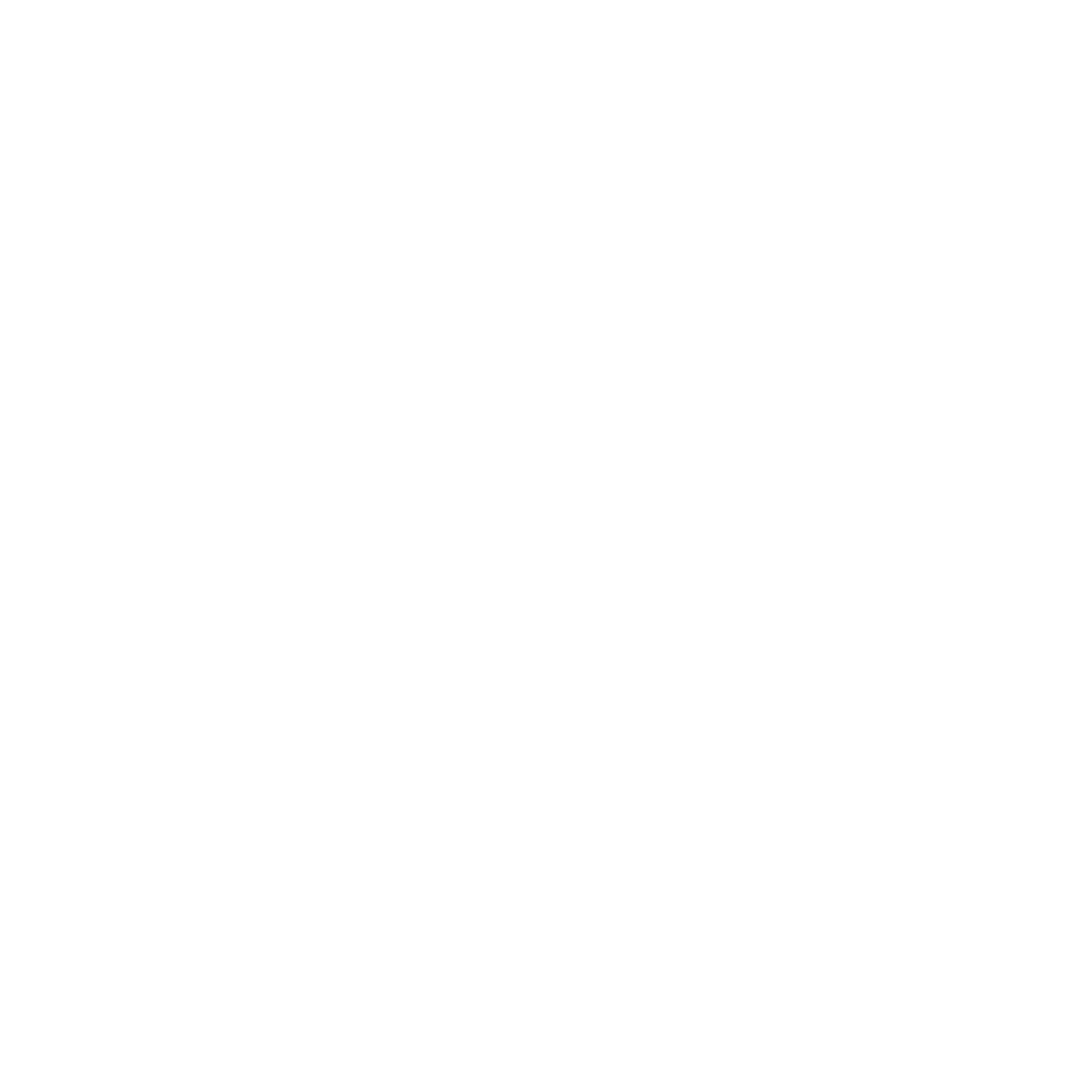 The SCIP Optimization Suite