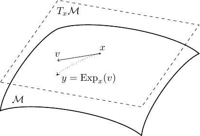 Riemannian Optimization Scheme